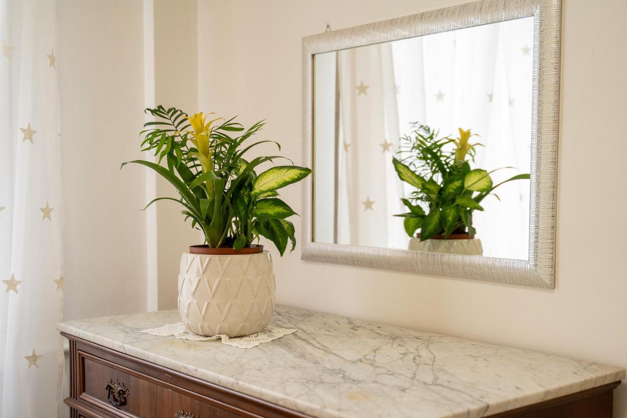 B&B Il Salvi Sassoferrato エクステリア 写真